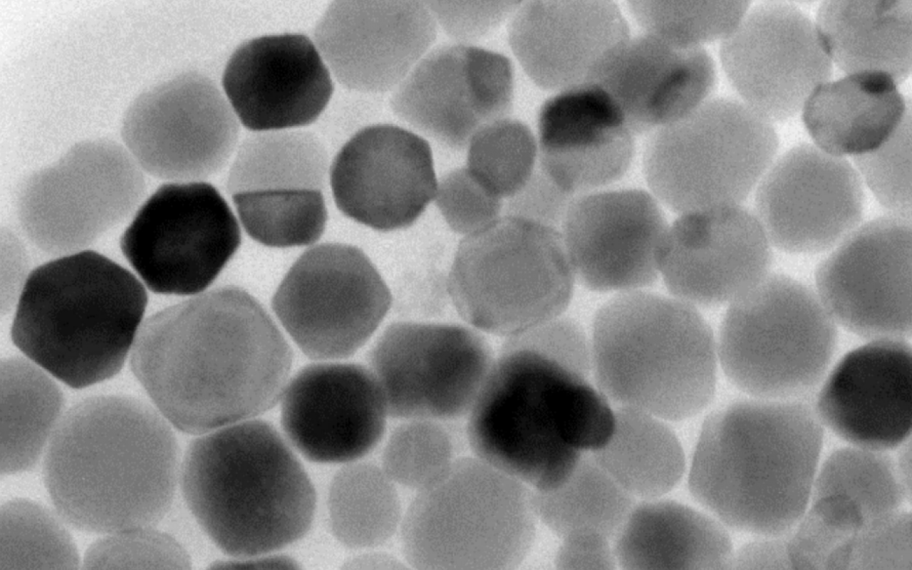 Ученые ЛЭТИ и ПИЯФ предложили метод изучения магнитных бактерий, части которых найдут применение в тераностике