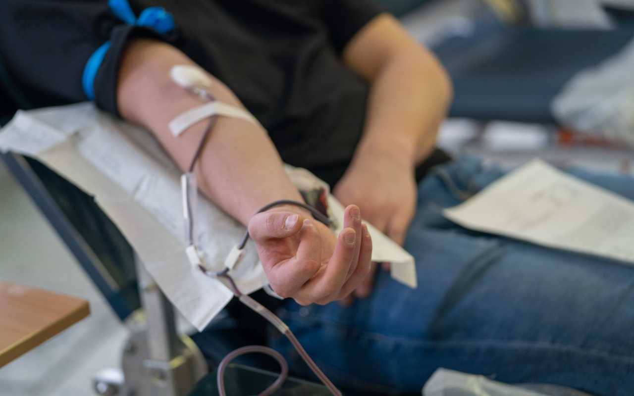 «Половина всей крови получена с помощью выездных бригад»: в ЛЭТИ прошел День донора